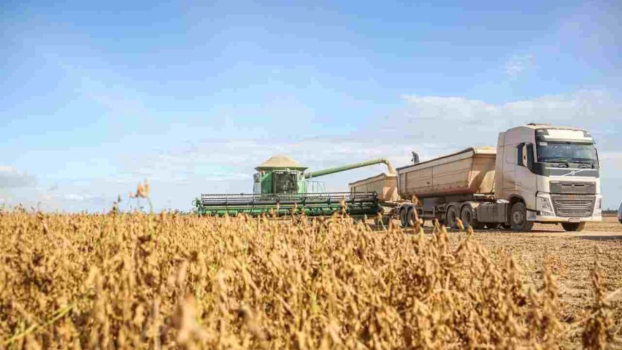 Cidades mais ricas do Brasil: Um raio-x da economia nacional