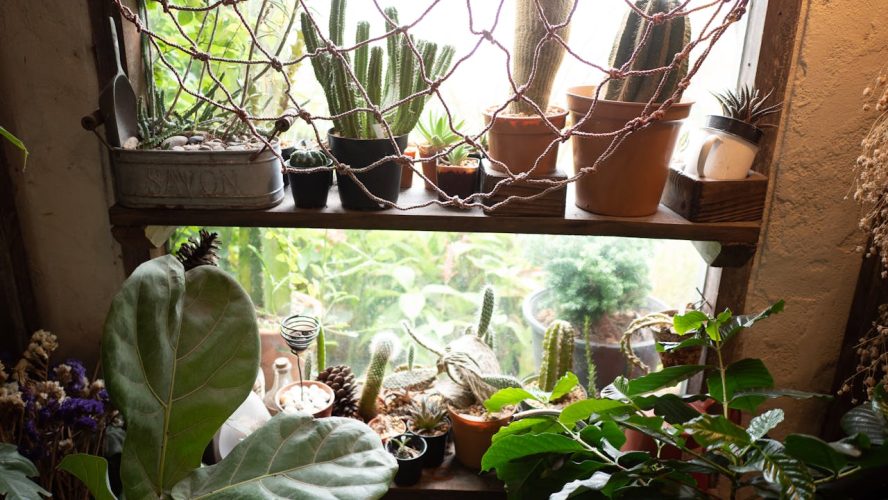 Dicas para Encontrar Equipamentos de Qualidade para Seu Cultivo — Guia Prático e Confiável