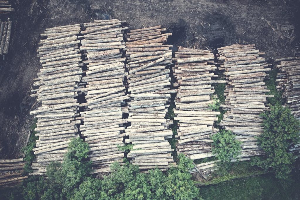 Redução dos impactos ambientais e promoção da sustentabilidade